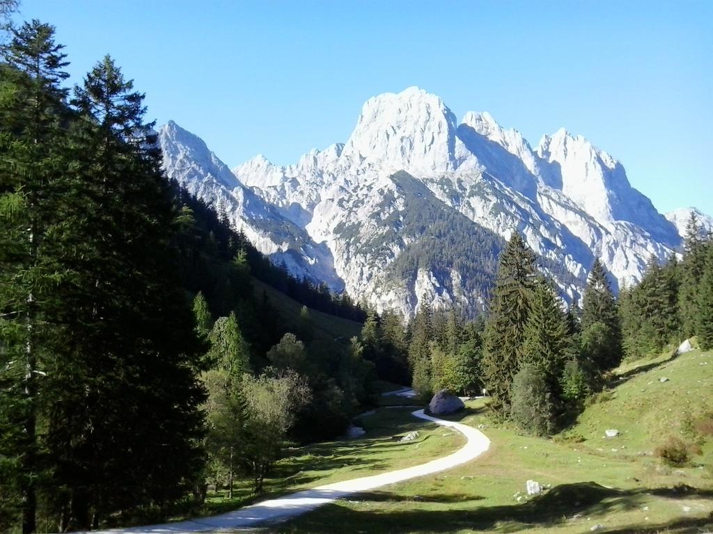 Apartments Saalachtal Lofer Dış mekan fotoğraf