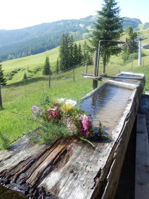 Apartments Saalachtal Lofer Dış mekan fotoğraf